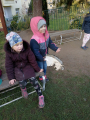 IMG-20241111-WA0003