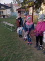 IMG-20241111-WA0028
