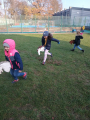 IMG-20241111-WA0029