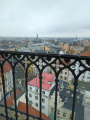 IMG-20241211-WA0011