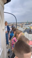 IMG-20241112-WA0011